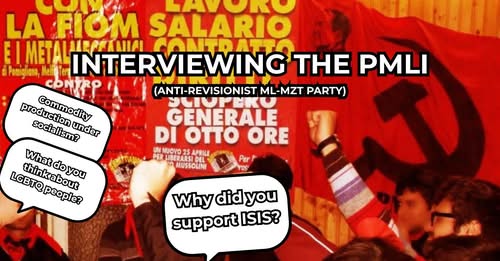 Intervista a Mino Pasca sul PMLI